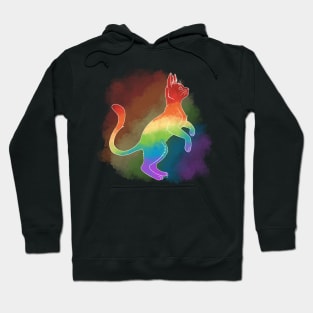 LGBT+ Cats: Gay Hoodie